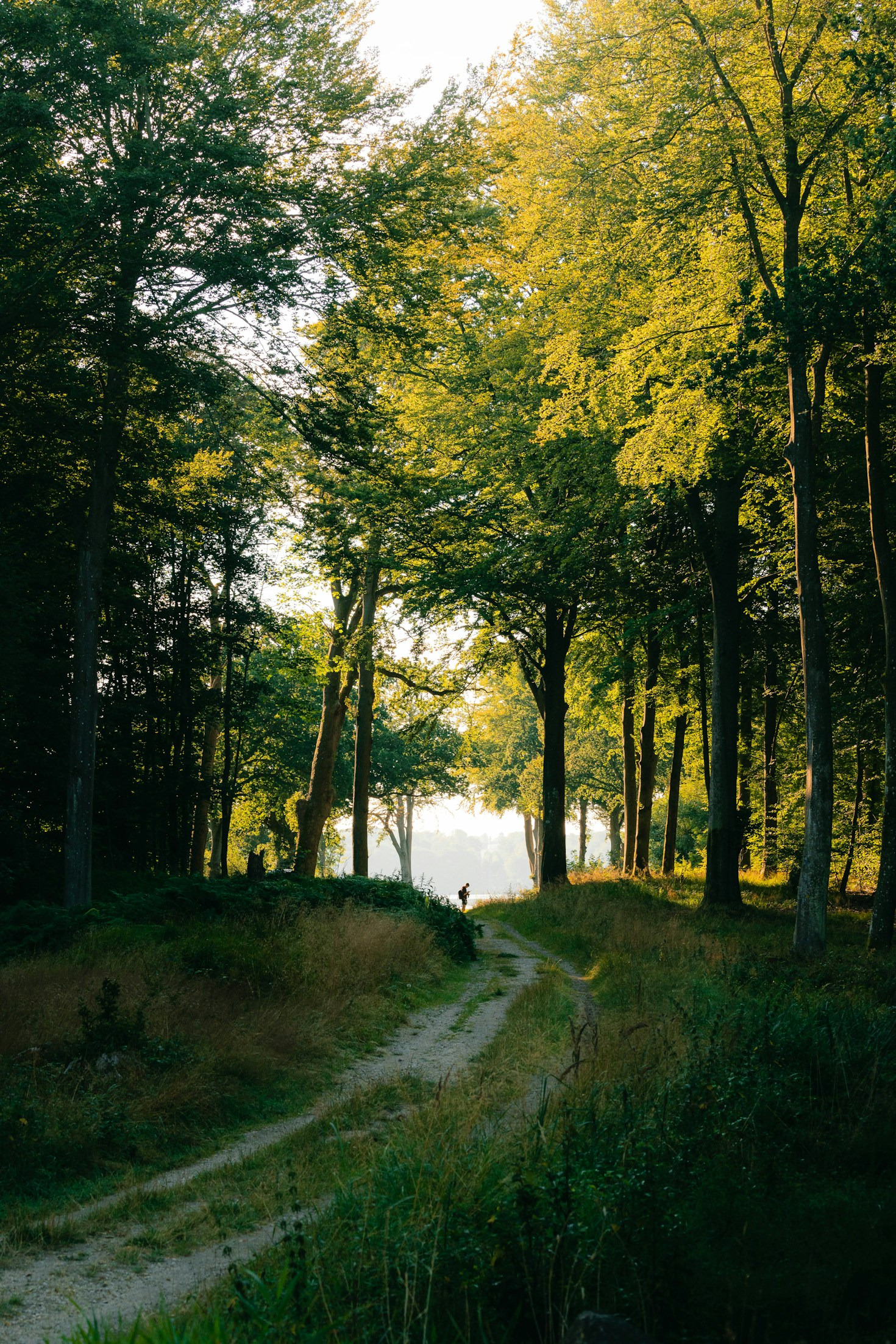 How To Find Clarity During Major Transitions