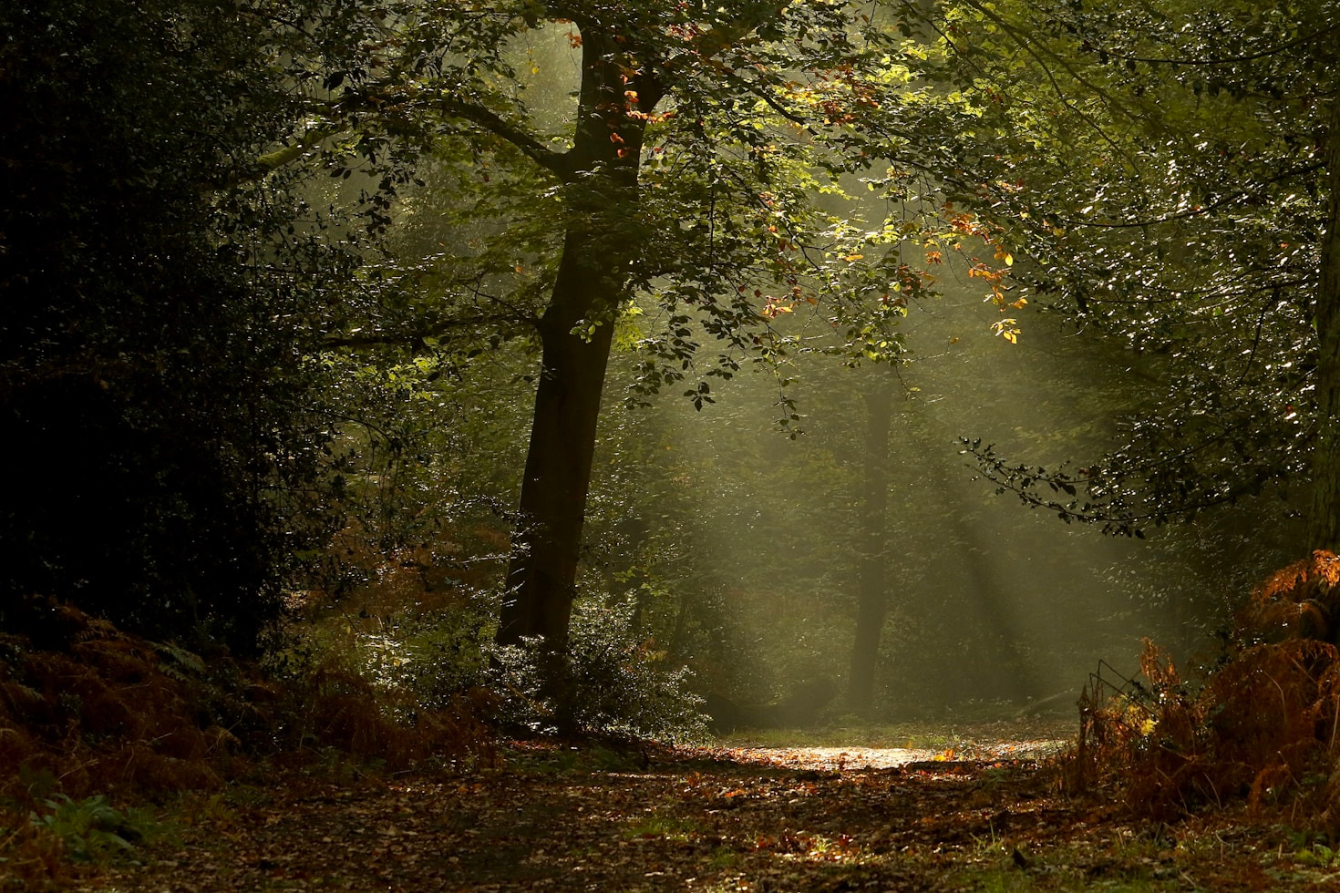 Five Ways To Cultivate A Positive Mindset
